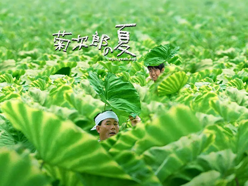菊次郎的夏天